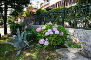 Apartment Amalia Volosko