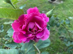 Bed and Breakfast Li Paduli Alvi img20