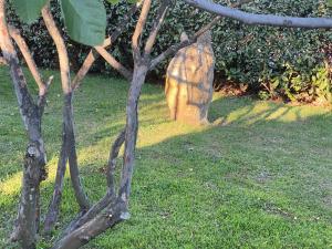 Bed and Breakfast Li Paduli Alvi img10