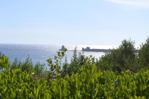 Panorama Apartments Messinia Greece