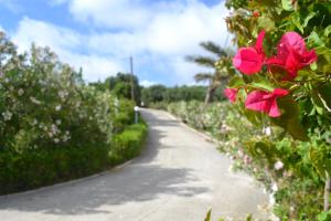 Panorama Apartments Messinia Greece