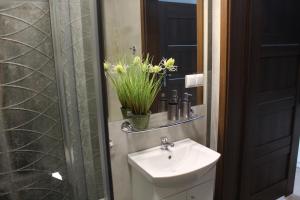 Apartamenty Jagiellońska 23