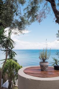 Paul Seafront House
