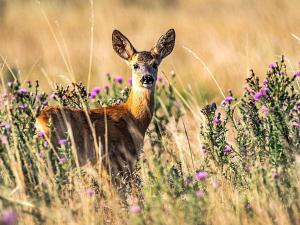 4 person holiday home in TORUP