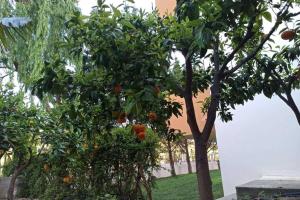 Villa MALENA Nature and Sea View