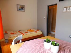 Ubytovanie na Frantšachte