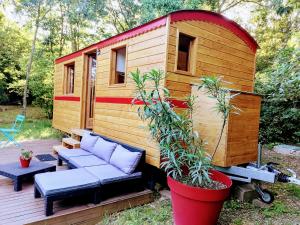 B&B / Chambres d'hotes Nimes en Garrigues : photos des chambres