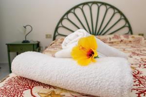 Il Complesso Saraceno img5