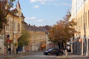 Butterfly Apartment-Hidden Gem in the Heart of Targu Mures
