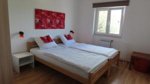 Apartman Toni 