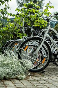 Roze Boutique Apartments