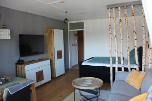 1-Zimmer-Apartment mit großem Balkon