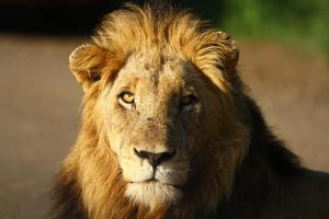 Kaia Tani Exclusive Guesthouse