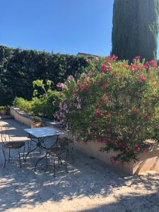 Appartements Gite Les Alpilles : photos des chambres