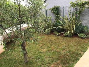 Apartmani Nena i Ilka