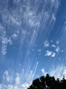 Ferienwohnung Eiderblick