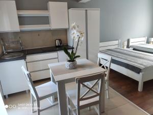 Apartamenty i Pokoje Biala Hortensja