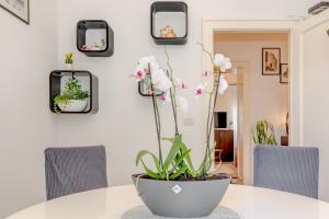 Split Apartment Worek