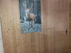 Maisons d'hotes chalet le plan du rtia : photos des chambres