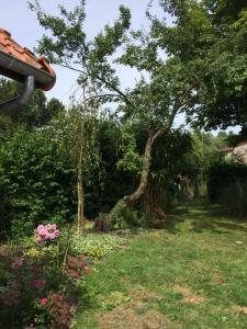 Maisons d'hotes Les Charmilles de Valencendre : photos des chambres