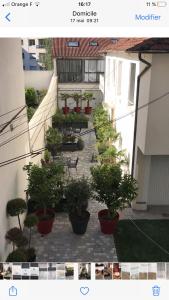 Logement haut de gamme jacuzzi sauna