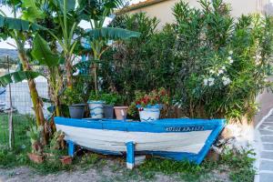 Dimitras Luxus House