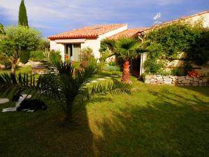 L'OLIVA photo 9