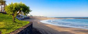 Nice apartment on Las Americas Beach