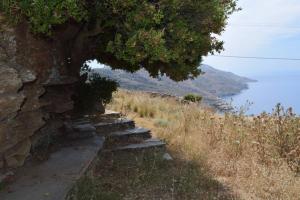 3h Andromache, Aegean Villa in Andros Greece Andros Greece