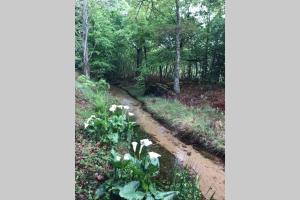 Maisons de vacances Spa et detente au coeur de la foret des Landes : photos des chambres