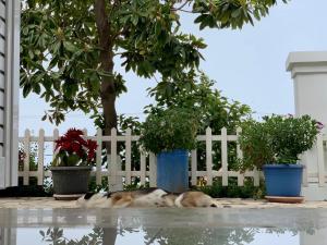 Holiday Home Ali
