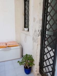 Ortigia Spartan House 1