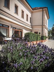 Restaurant Pansion Wien