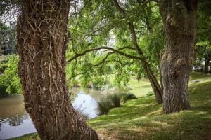 Hotels Les Jardins de l'Anjou : photos des chambres