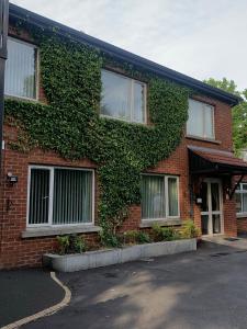 Ashfield Bed & Breakfast