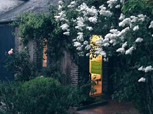 B&B / Chambres d'hotes Le clos des artistes - Chambres d'hotes : photos des chambres