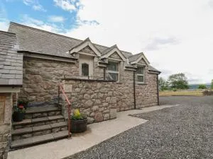 The Wren - 科尔温湾