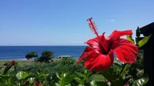 Sogno sul mare - Cuili Issi