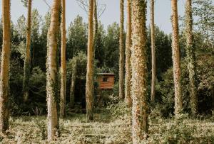 Bonita cabaña de los arboles en La Rioja , Durmiendo entre arboles