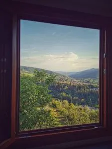 L’oasi di Cice - Scopeti