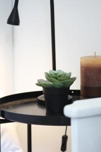 Easy4Stay by Beach Resort