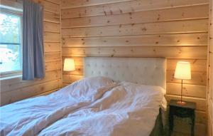 4 Bedroom Amazing Home In Vemdalen