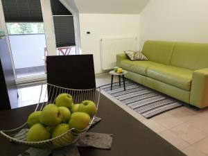 Apartma Kurji vrh - Chicken top