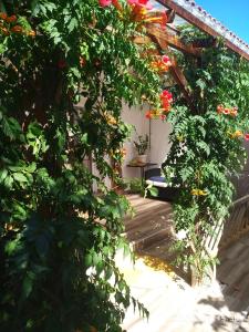 Wellness Apartments Ra