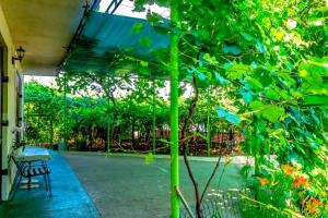 Apartment Gea 2 