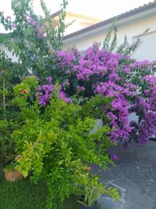 Villa la Bouganville