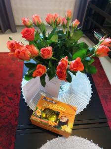 Porvoo City Apartments