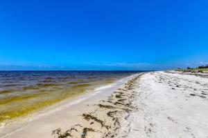 Windmark - The Birds Nest