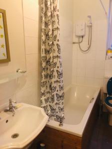 Borough Road, Hillsborough, Sheffield