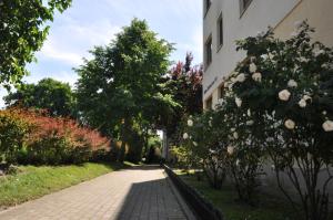 Apartament Orłowo morze i las